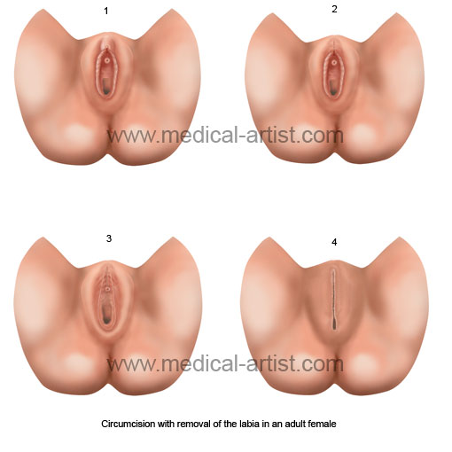 stop looking at boob modelos ecuatorianas sexys tanga