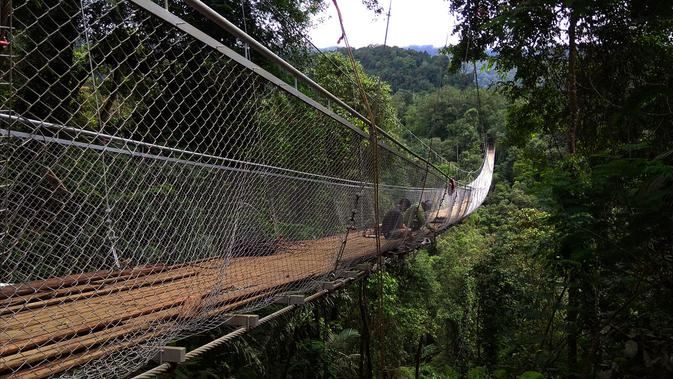Harga Tiket Masuk Jembatan Gantung Situ Gunung Sukabumi Trip