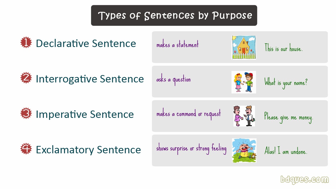 types-of-sentences-by-purpose-study-materials-for-student-in-bangladesh