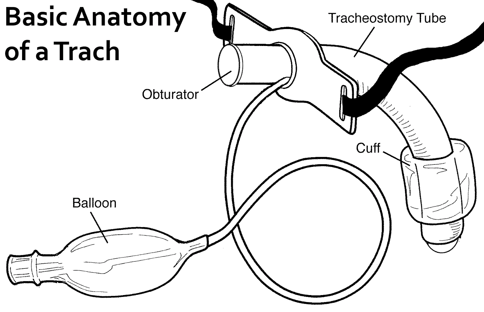 Musings of a Crippled King FAQs How Does Your Ventilator Work?