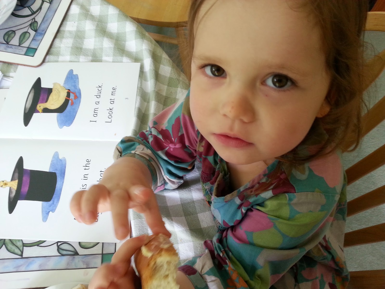 The Muminator Jelly and Bean Phonics reading for Children