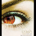 CRASH (Visions Book 1) comes out January 8!