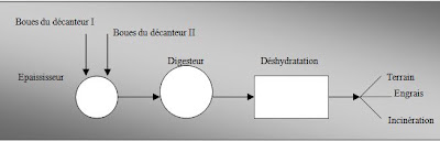 syst-me-pseudo-s-paratif-r-seau-d-assainissement