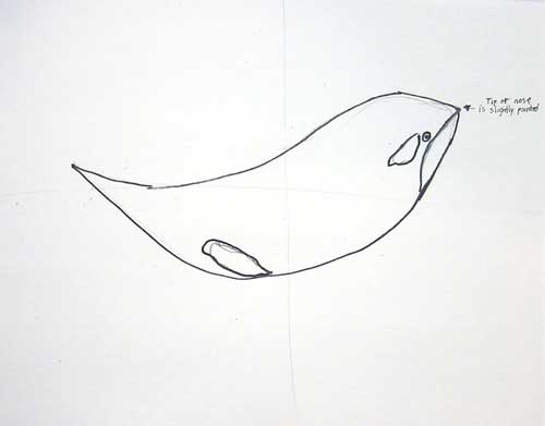 Animal Drawing: Killer Whale Orca