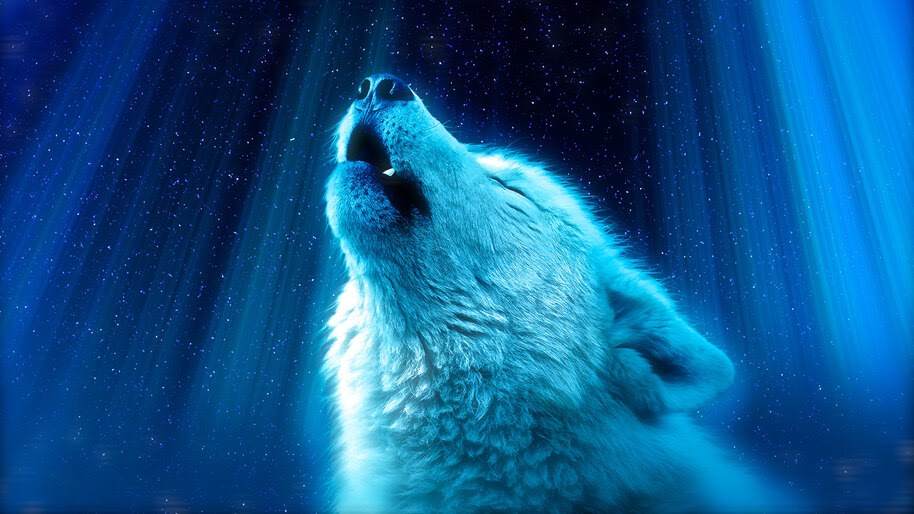White Wolf, Howling, 8K, #4.572