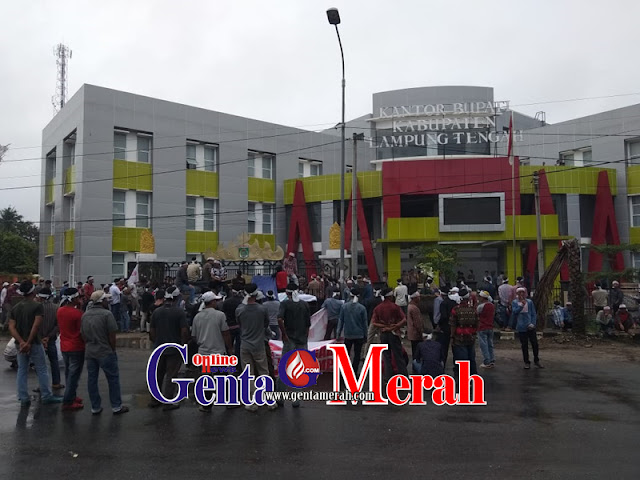 Diduga Lelang Proyek Bermasalah, Ratusan Massa Merangsek Pemkab Lamteng