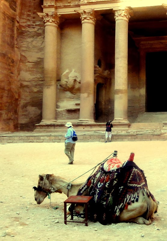 treasury camels bedouin