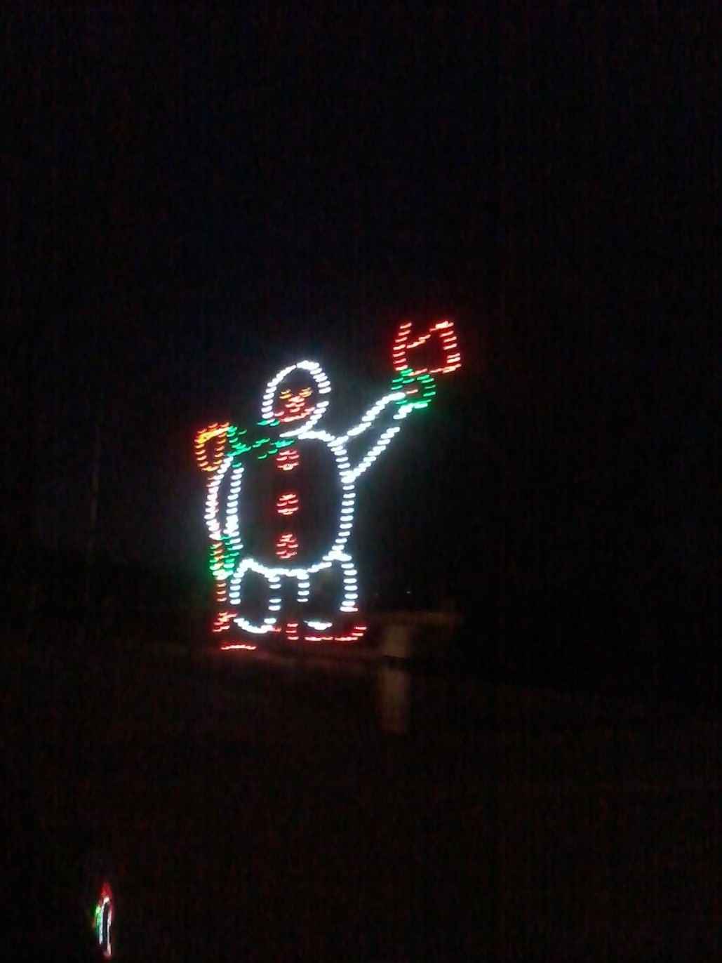 raisingmy2beauties-oglebay-festival-of-lights-wheeling-wv