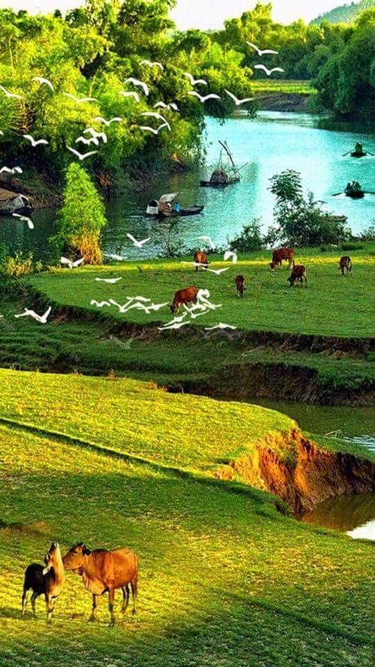 Weekend getaway essay picture