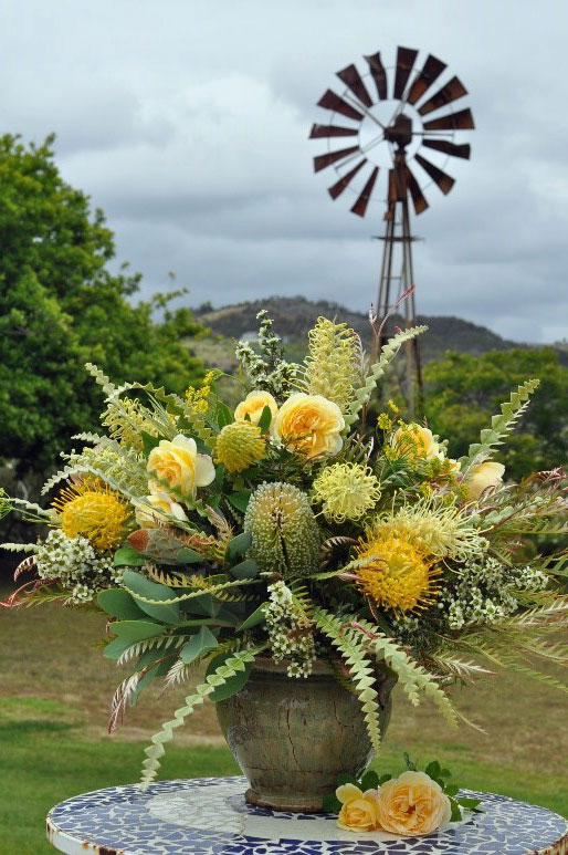 A Passion for Flowers In the Field Banksia Speciosa