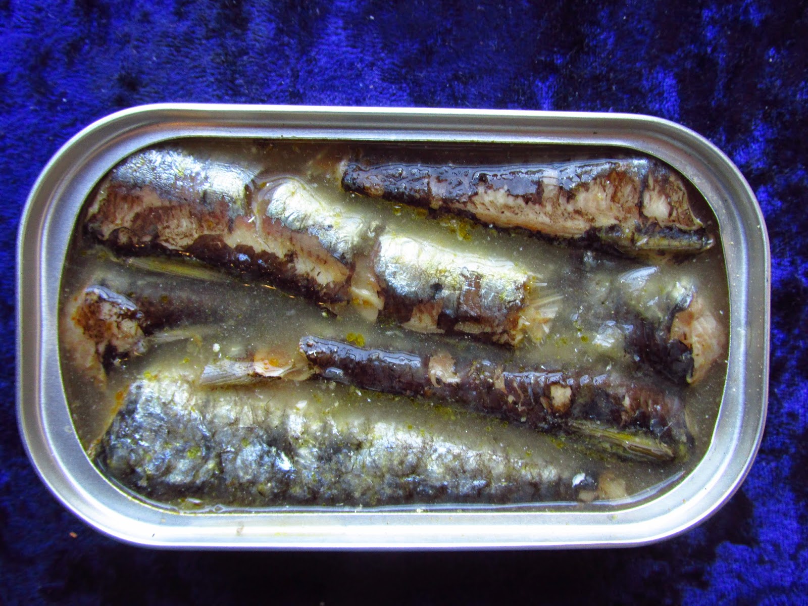 Mouth Full of Sardines SEASON48