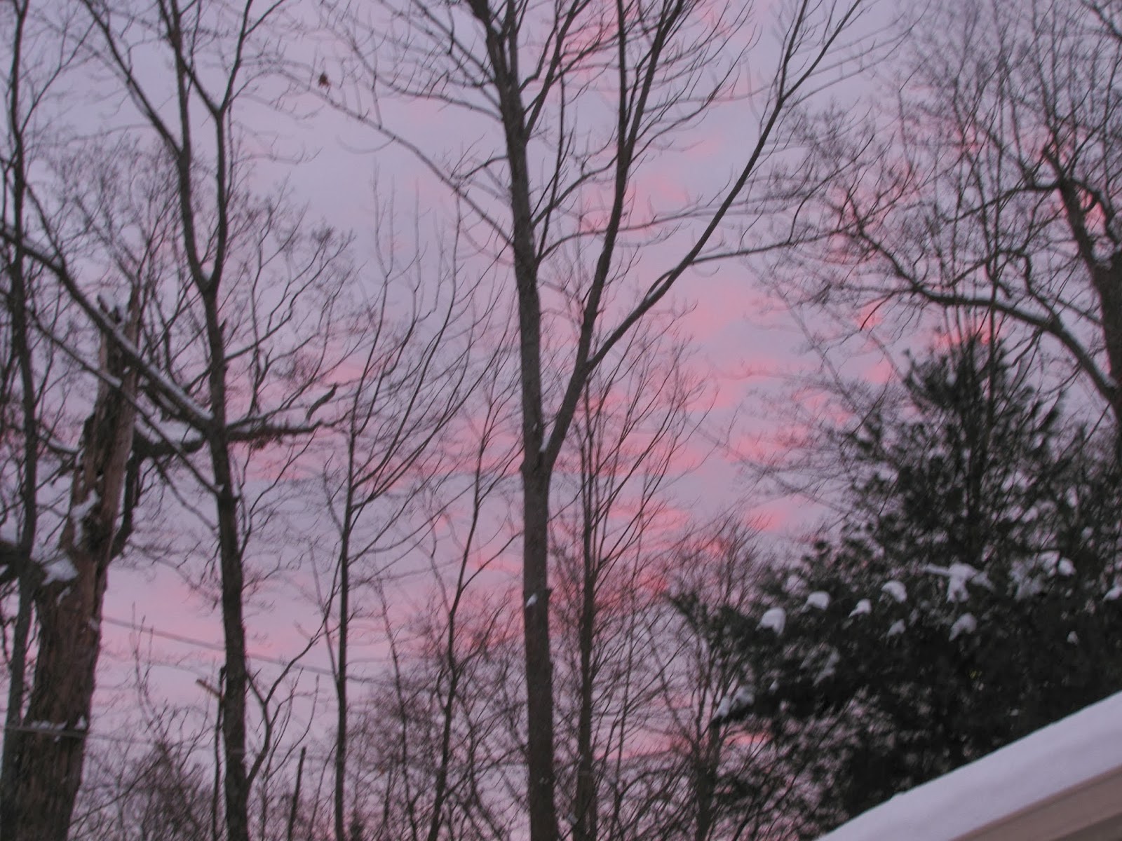 Informationenueberwohnungsbetrug Wohnungsbetrugsinformationen