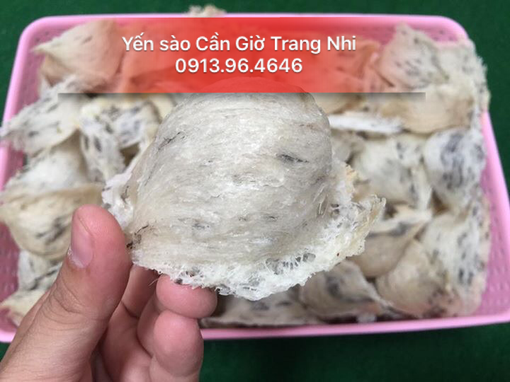 Yến Thô Tai Lớn