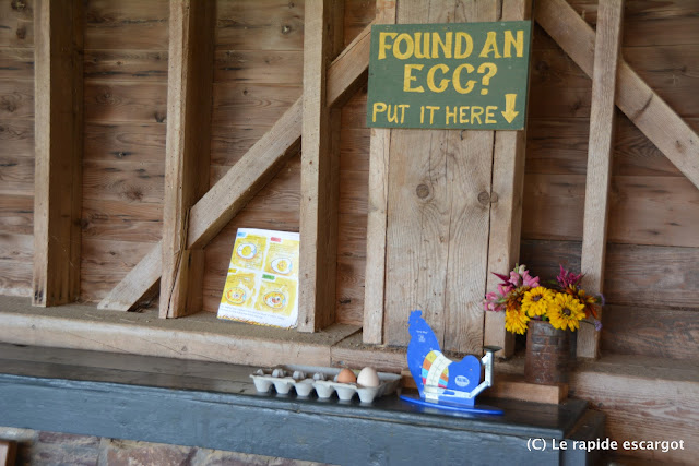 Shelburne farms weight egg