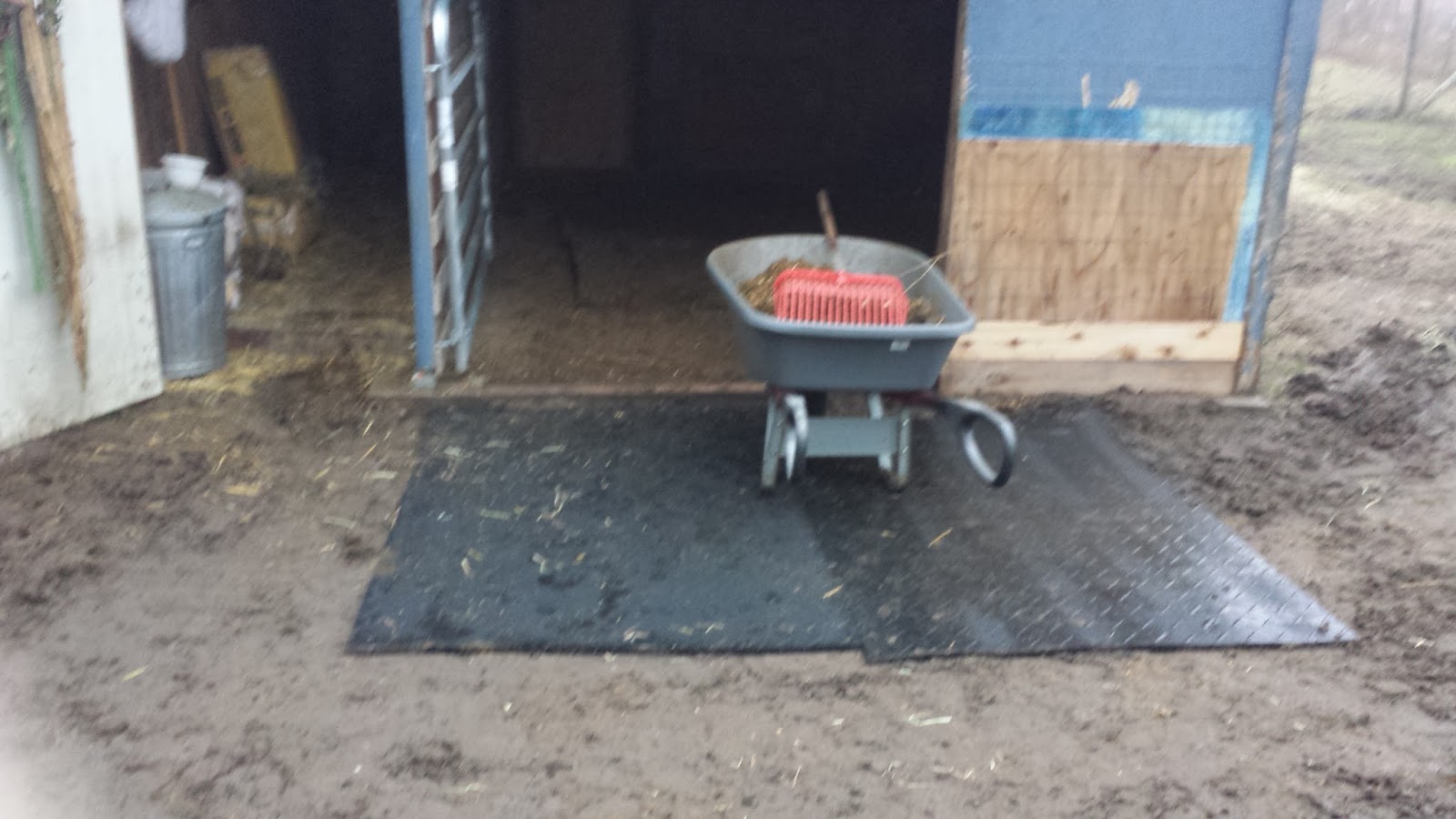 My Miniature Donkeys The Miracle of Stall Mats