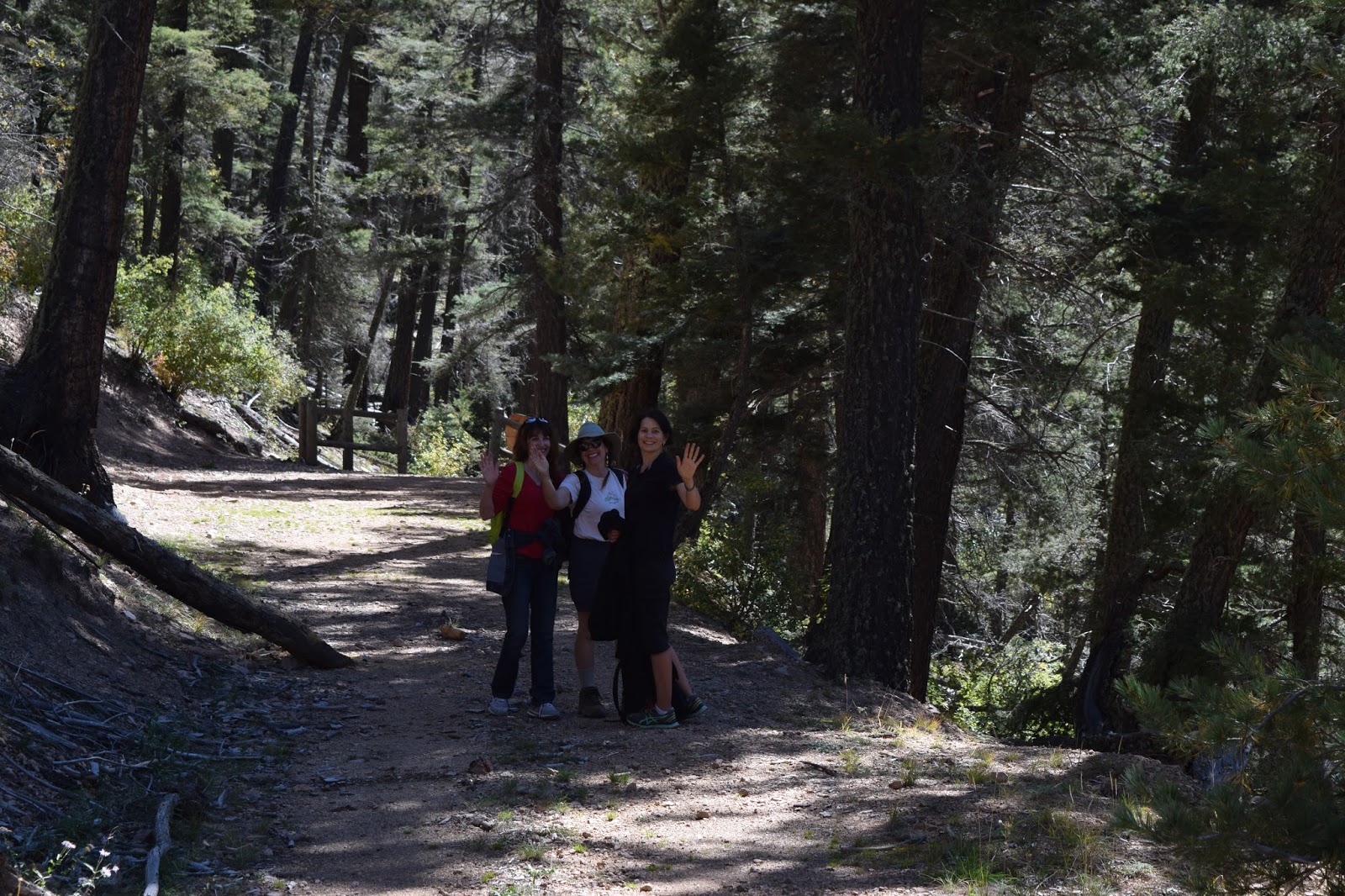 Diane and Stephen's Excellent Albuquerque Adventure Hiking to Rio