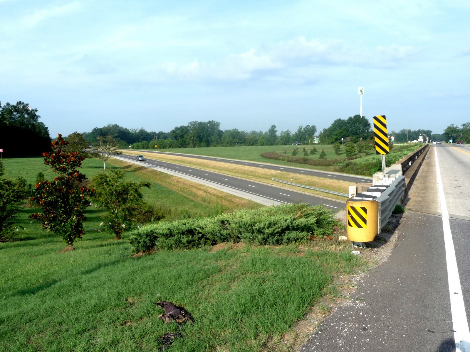 seniors walking across america DAY 209 EVERGREEN, ALABAMA