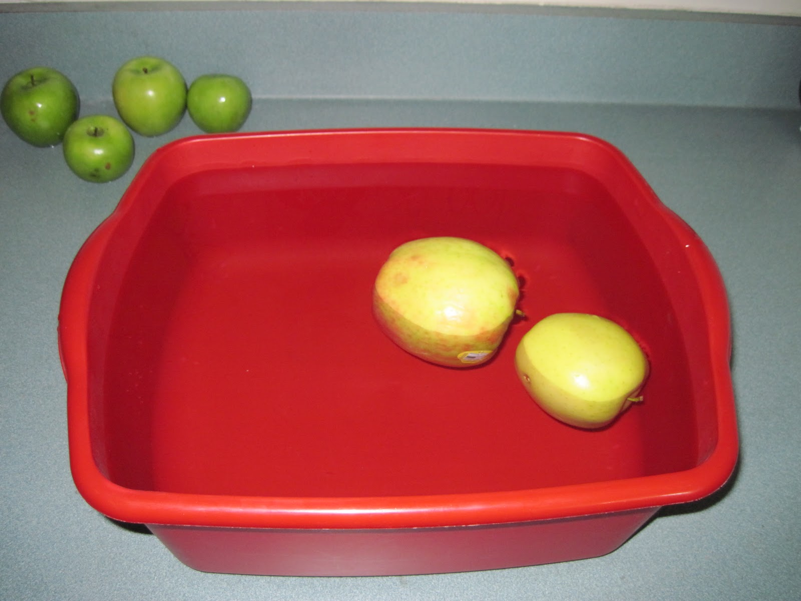 Mrs. Teeler's Blog Do Apples Sink or Float?