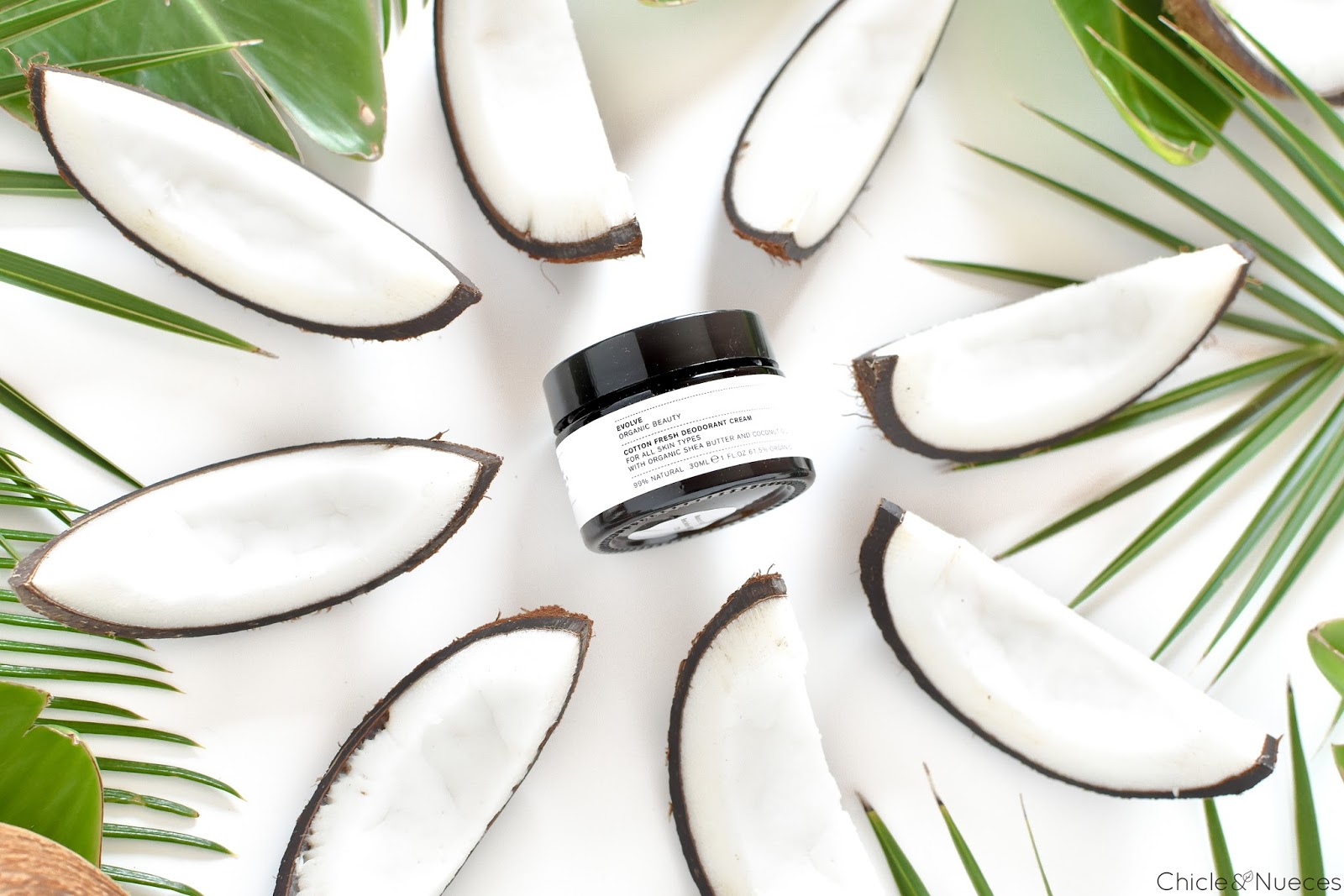 Cotton Fresh Deodorant Cream Evolve Chicle&Nueces