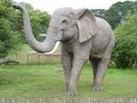 Gajah di kebun binatang