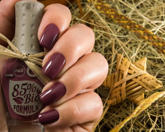 Naillook Bio Polish Dusty Cedar 31464