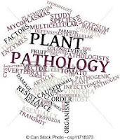 plant pathology exam questions