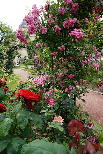 Jardin des Plantes