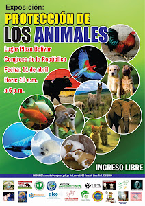 REALIZARAN EXPOSICION SOBRE PROTECCION DE LOS ANIMALES