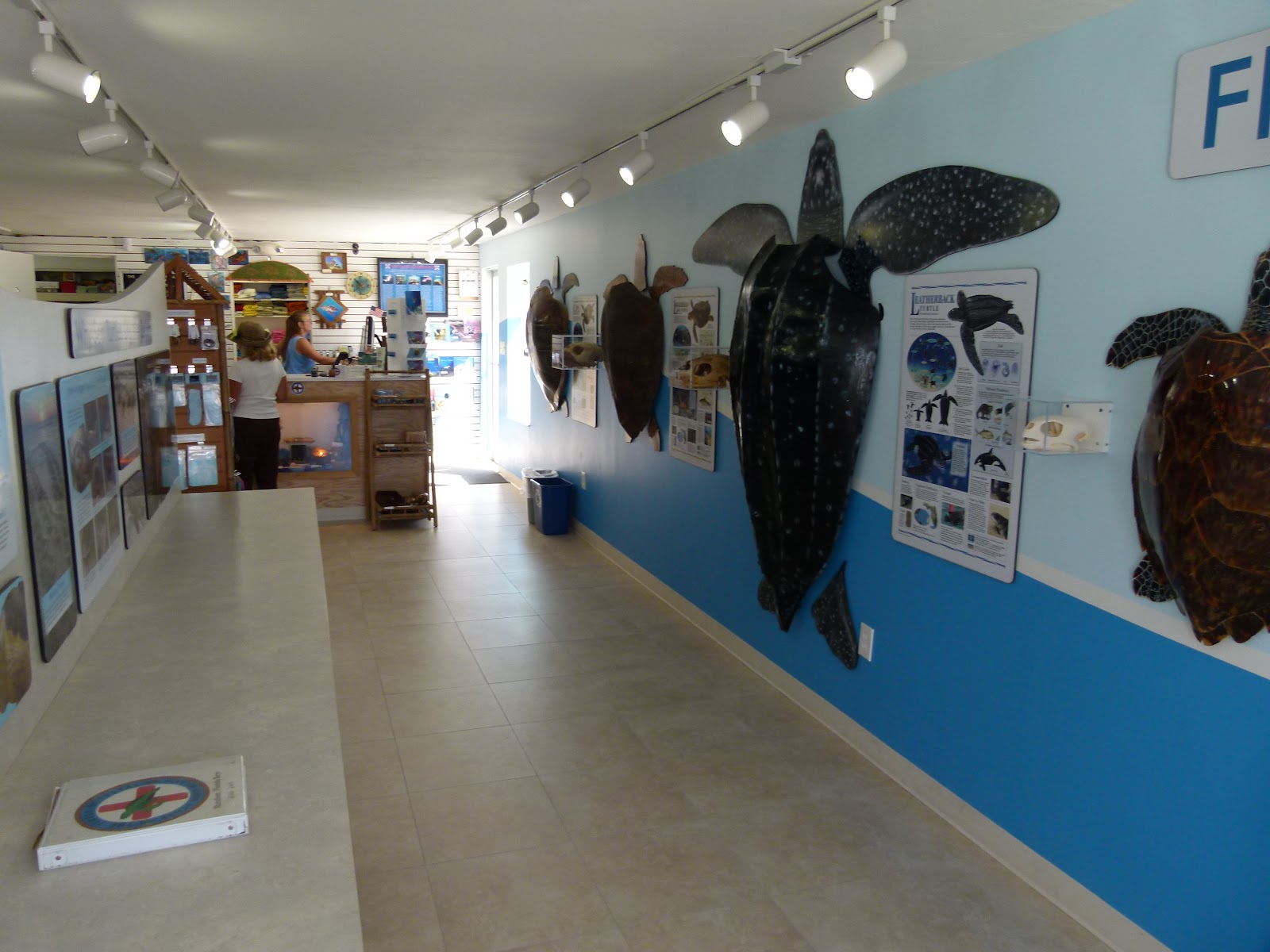 Visit Key West Turtle Hospital