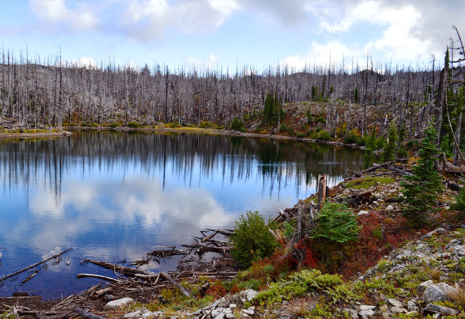 into the wild oregon Olallie ButteWasco County