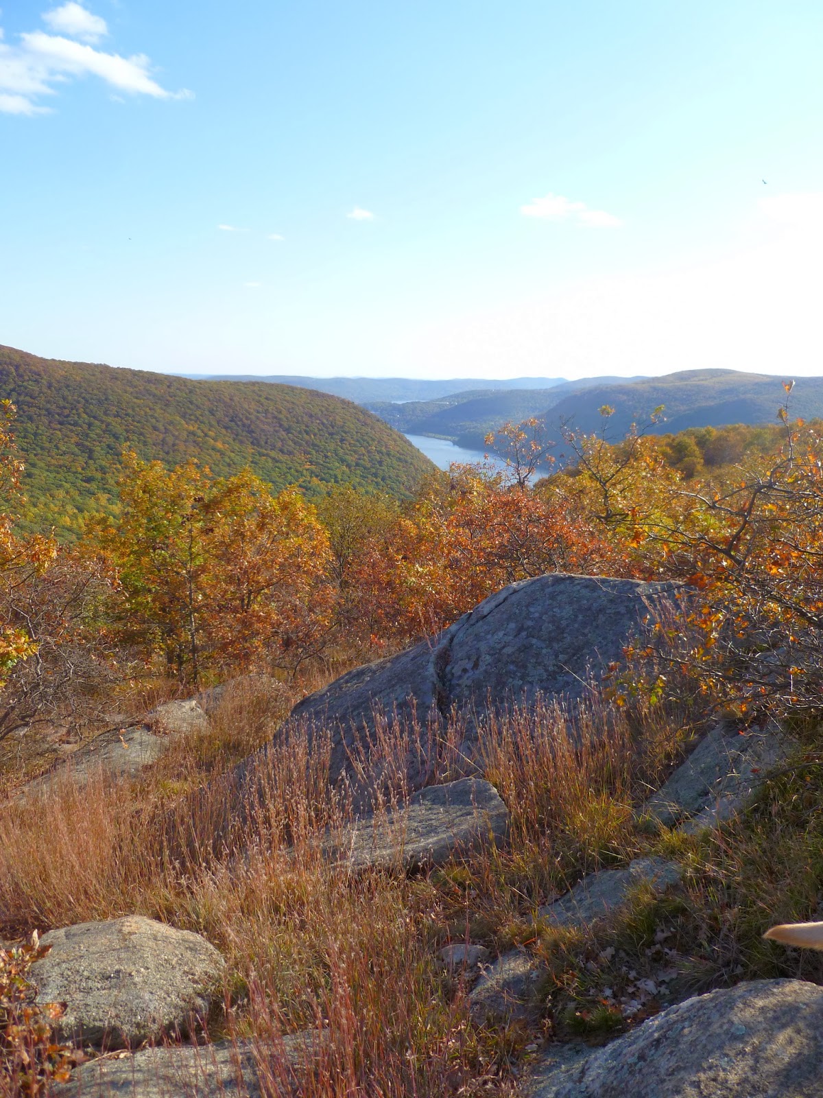 B. Avery Syrig: A Visual Adventure: Fall Color on Breakneck Ridge