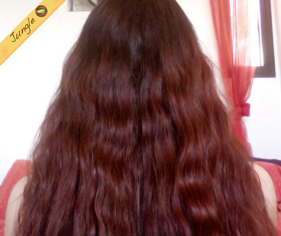 Jungle S Hair De Beaux Cheveux Au Naturel Coloration Au Henne