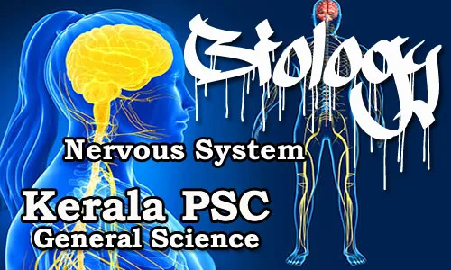 Kerala PSC - Biology - Human Body (Nervous System)