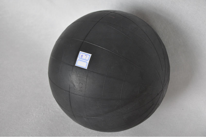 HLPE3531 Biomechanics and Skill Aquisition