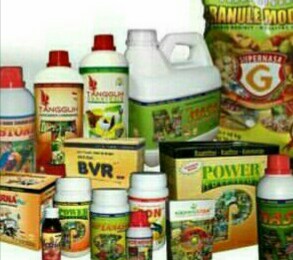 distributor-nasakendal.blogspot.co.id agen pupuk nasa di kutai timur