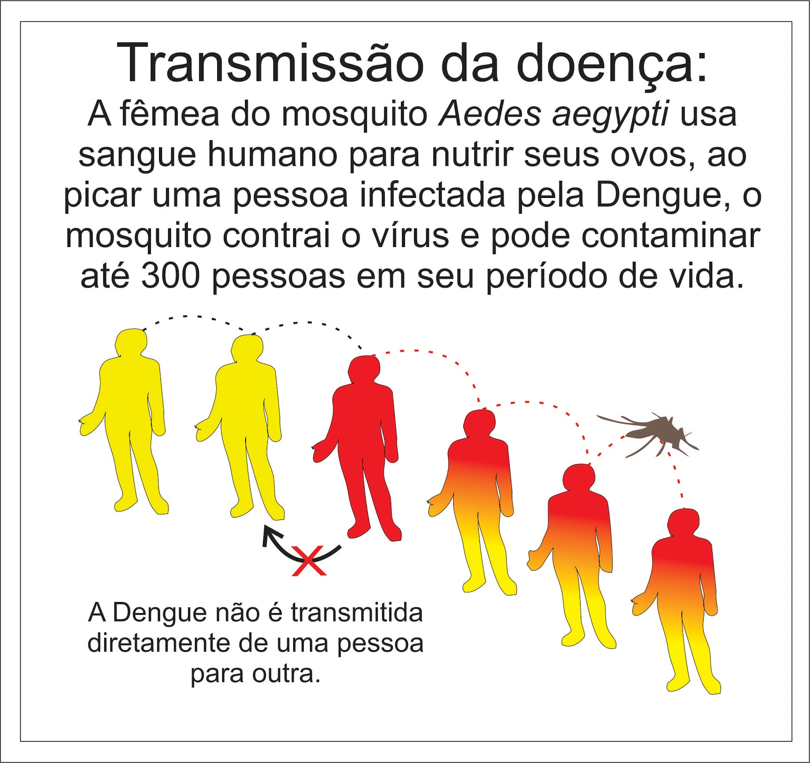 Novo Hamburgo Contra a Dengue Novo Hamburgo Contra a Dengue