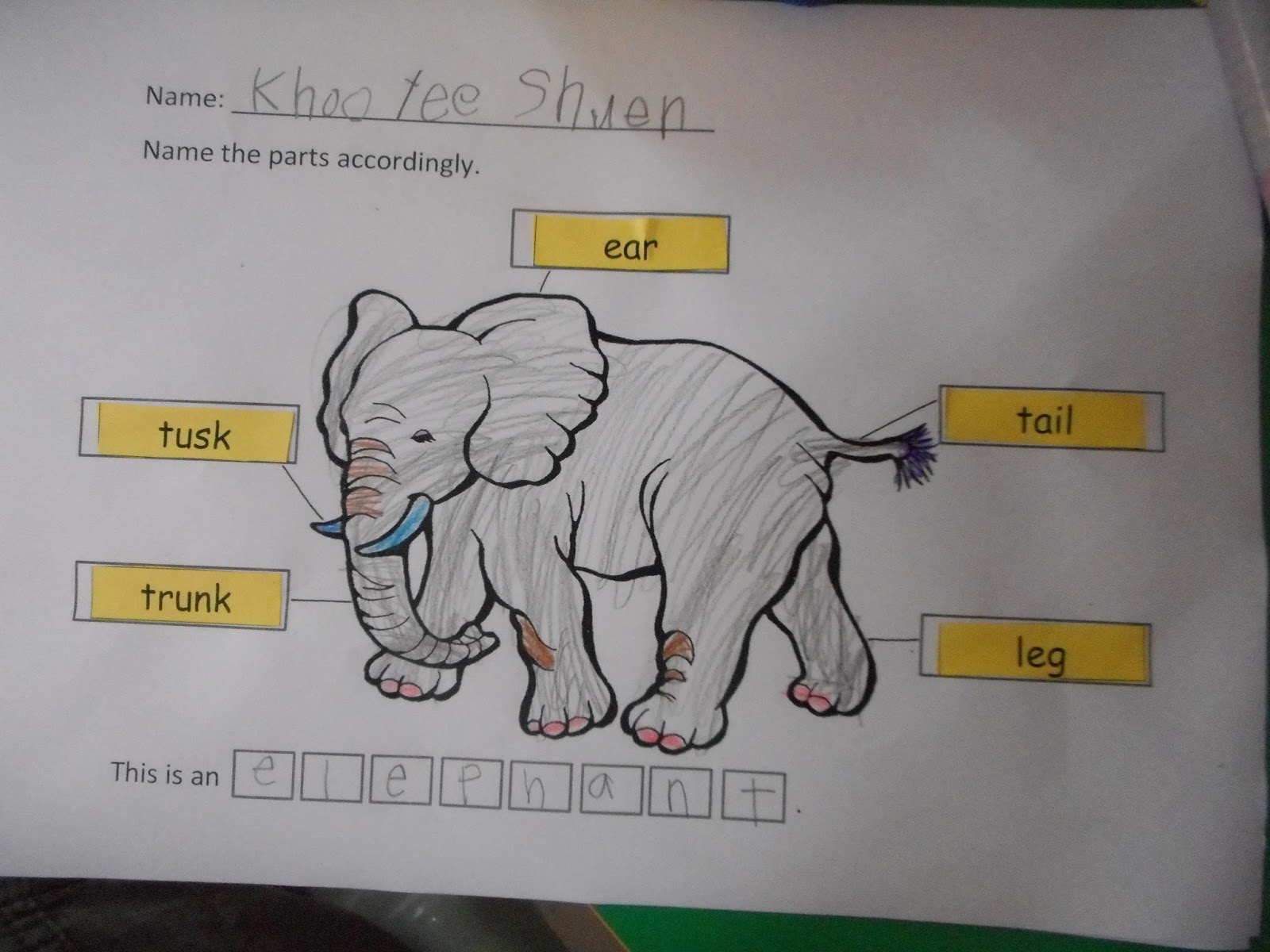 Wonderful & Happy Peers!: Worksheet - Elephant
