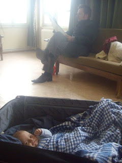 Anton sleeping in a suitcase in the new house