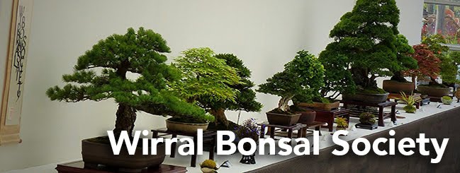 Wirral Bonsai Society