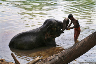 DEPURAZIONE IN INDIA