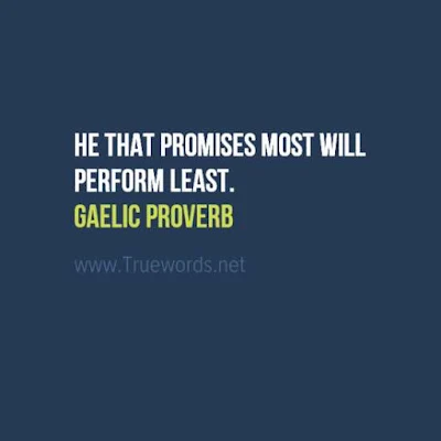 He that promises most will perform least. 