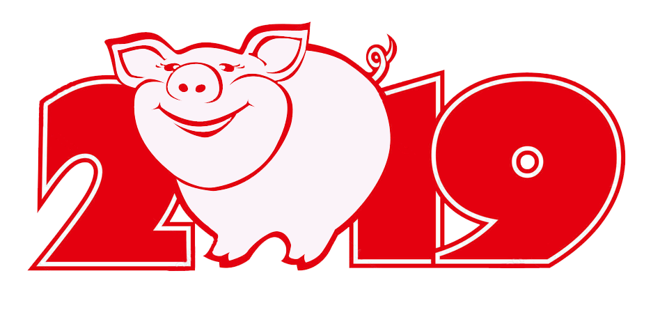 Свинья гороскоп. Какой следующий год 2022 какого животного. Какой год будет в 2022 году. Какой символ 2019. Знак 2019 года по восточному.