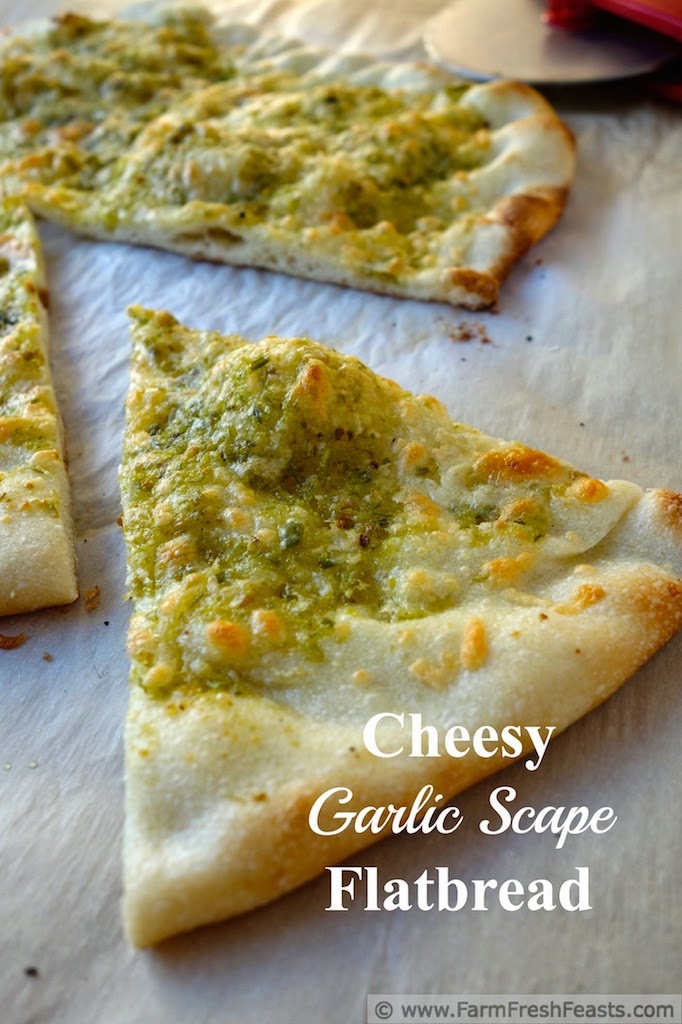 Mild garlic flavor from the garlic scape pesto, plus plenty of shredded cheeses, makes a Cheesy Garlic Scape Flatbread--a seasonal treat that can be enjoyed year round thanks to your freezer