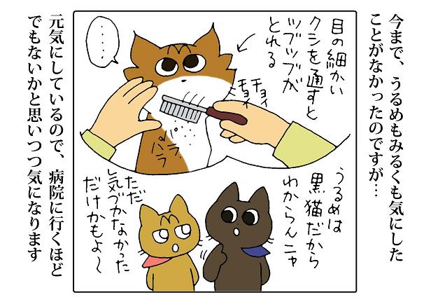 あご にきび 猫 猫の顎ニキビの取り方。黒いブツブツ症状を悪化させずに治すコツ