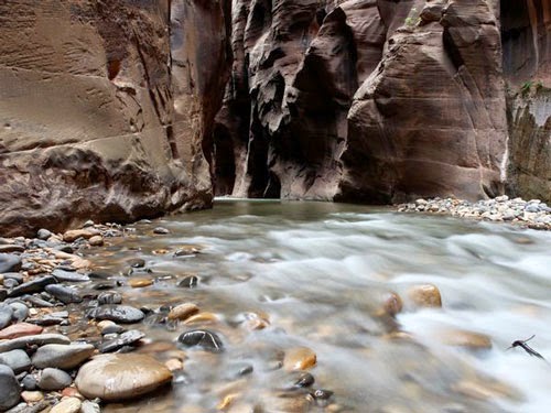 6. Sungai di taman nasional Zion