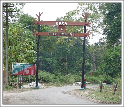 Dooars Ecoviillege: Boxa Tiger Reserve Forest, an Amazing Trip for ...