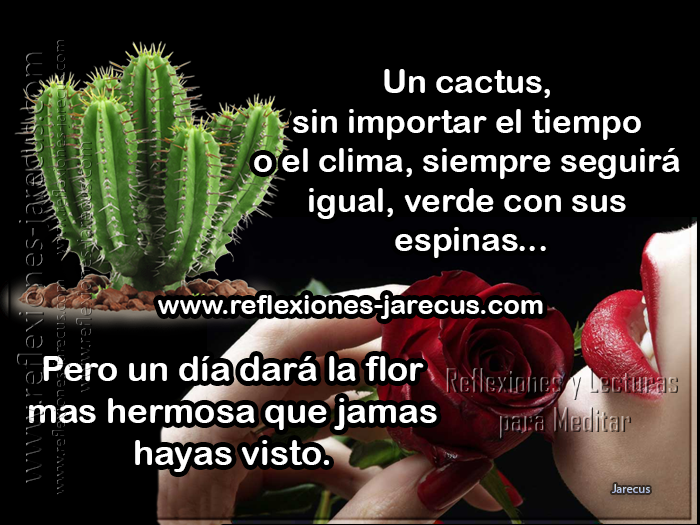 El Hombre Que No Se Casa El Hombre Que No Se Casa