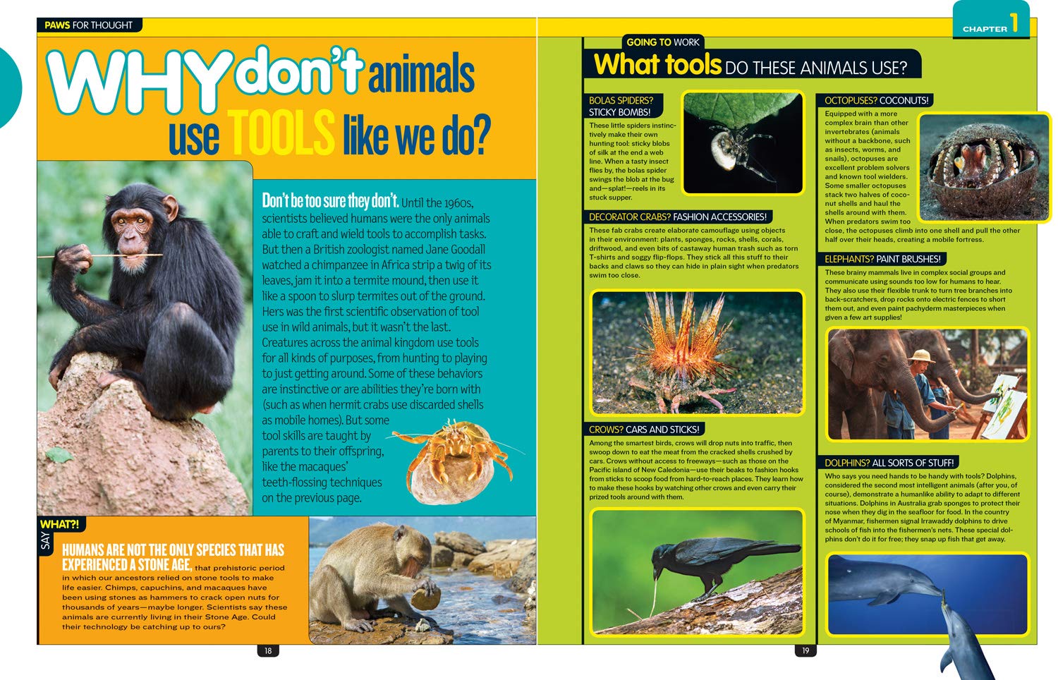 Crafty Moms Share Facts And More From National Geographic Kids