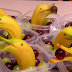 Idea: Banana dolphins and grapes sea / delfines de banana y mar de uvas