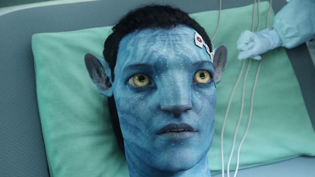 Avatar (2009) Extended Dual Audio [Hindi-DD5.1] 1080p BluRay ESubs Download